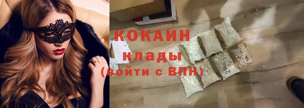 ECSTASY Горняк