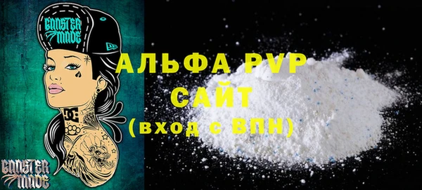 ECSTASY Горняк