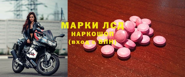 ECSTASY Горняк
