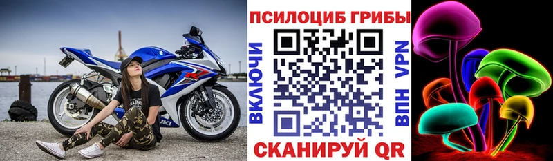Галлюциногенные грибы мицелий  Донской 